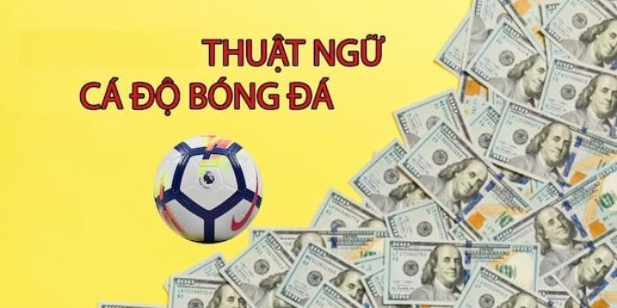 Thuật ngữ trong cách đặt cược bóng đá