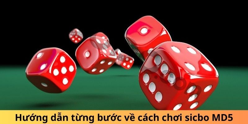 Hướng dẫn từng bước về cách chơi sicbo MD5