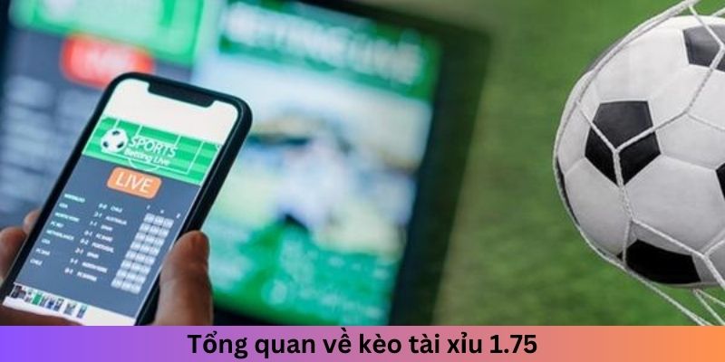 Tổng quan về kèo tải xỉu 1.75